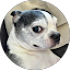 Tom K Avatar